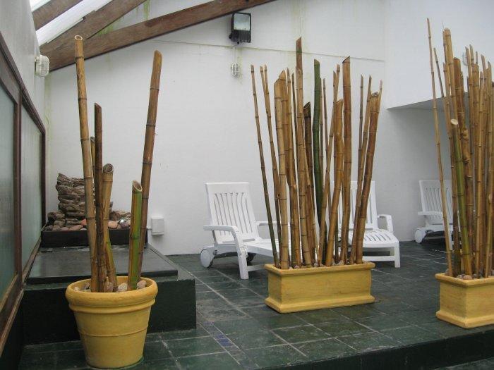 Club Sol Del Este Aparthotel Punta del Este Bagian luar foto